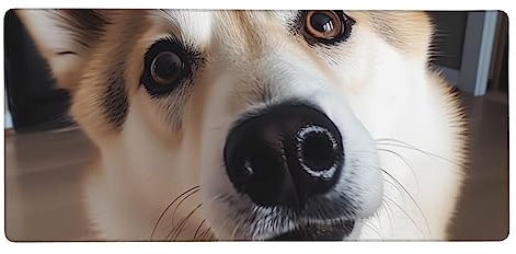 Tier Hund Foto Mauspad Erweitertes Gaming Mauspad Rutschfeste Tastatur-Pads Wasserdichte Laptop Schreibtischunterlage für Gaming Büro Zuhause