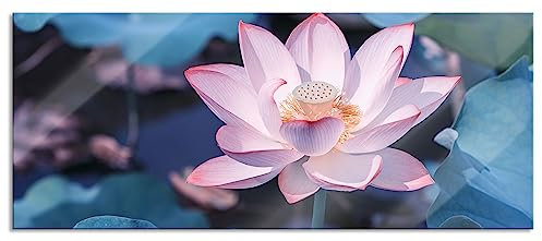 Pixxprint Glasbild Panorama, Wandbild aus Echtglas, Rosa blühender Lotus Nahaufnahme, 120x50 cm, inkl. Aufhängung und Abstandshalter