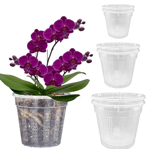 Bamworld Lot de 6 Pots Transparents pour Orchidées en Plastique - 3 Tailles (15,5 cm, 14 cm, 11 cm) avec Trou de Drainage - Pots de Pépinière pour Le Rempotage des Plantes d'Intérieur