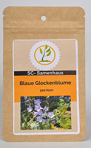 Blaue Pfirsichblättrige Glockenblume Campanula persicifolia 500 Samen SC-Samenhaus