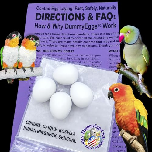 DummyEggs Plastic Small Parrot Stop Brooding Laying! 4 Solid Dummy Fake Non-Toxic White Realistic Eggs for Conure (not Green Cheek), Caique, Indian Ringneck DE Brand USA