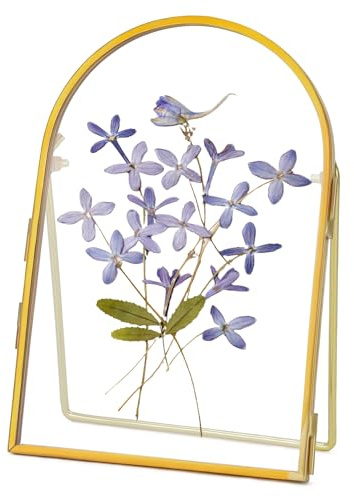 REDHUGO Double Glass Frame for Pressed Flowers Handmade, Arc, Gold, 4x6 in | Metal Floating Picture Frame for Pressed Flower, Tabletop Display, Brass, Arc-Shaped (FRAME ONLY)