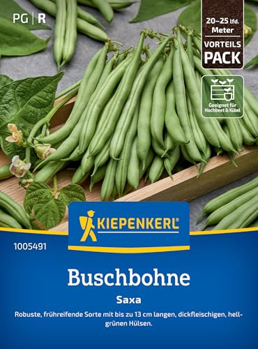Kiepenkerl Buschbohnensamen Saxa 1005491 – Gemüsesamen für Bohnen mit bis zu 13 cm langen Hülsen und Inhalt für 20 bis 25 lfd. Meter - Saatgut, Gemüse Pflanzen | Ertragreiche Sorte, zarte Hülsen, einfache Aussaat, ideal für Hobbygärtner, frische Ernte aus dem eigenen Garten