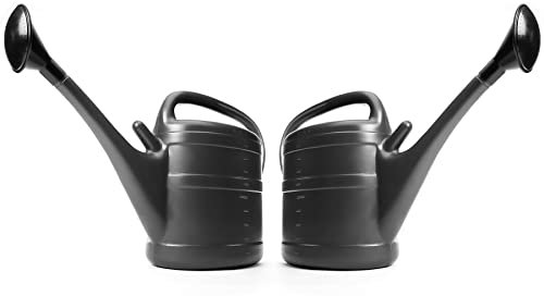 BigDean 2X Gießkanne 10 Liter anthrazit für Haus & Garten - aus robustem Kunststoff - Gartengießkanne mit Abnehmbarer Brause - zur einfachen Bewässerung von Blumen, Pflanzen & Bäumen
