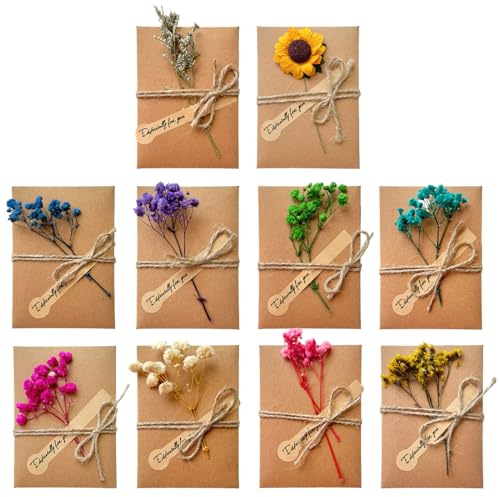 JYNVO 10 Pcs Tarjeta de Felicitación, Postales Vintage con Flores Secas Decoradas Postales, Tarjeta Kraft Felicitacion Cumpleaños Bebe Regalo Sobres Navidad Boda(A)