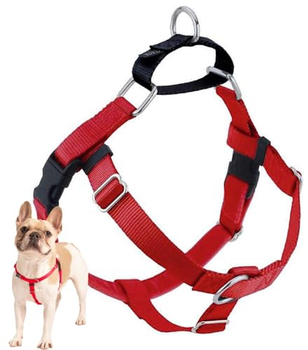 2 Hounds Design Freedom No Pull Dog Harness, Adjustable Harness, Easy Walking & Comfortable Control, Fits Small, Medium & Large Dogs, Solid Colors, Made in USA, 1 LG, Red