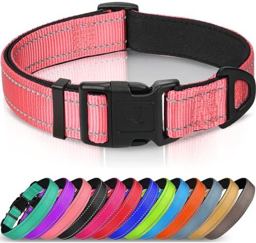 Joytale Reflekterande hundkrage, neopren vadderad justerbar, neonrosa, XS