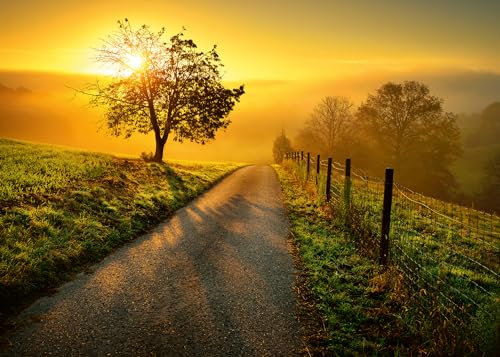 Ravensburger Puzzle 1000 Teile Landschaft in Morgensonne - Farbenfrohes Puzzle für Erwachsene und Kindern in bewährter Qualität