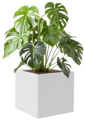 C-Juzarl Jardinière cubique en métal blanc pour l'intérieur et l'extérieur - Grand bac à fleurs - 50 x 50 cm - Pot de fleurs carré pour l'extérieur (60 x 60 x 60 cm)