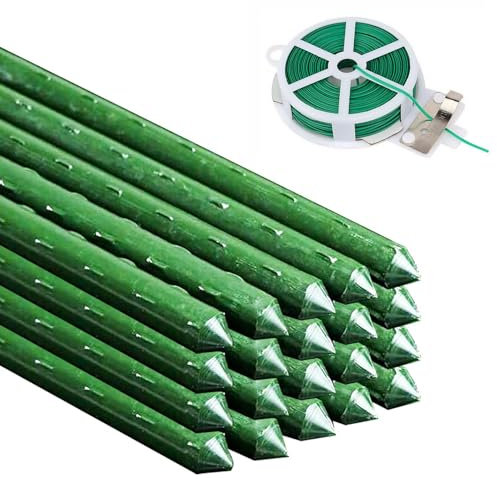 Garden Plant Stakes Green Plant Support Sticks, 40PCS Coated Steel Plants Growing Sticks with 100M Ties Wire, Garden Canes Vine Support Stakes for Flowers Vegetable Pea, 8mm x 75cm