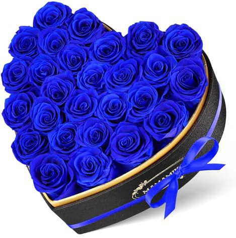 27 ewige Rosen in Herzform Box, Infinity blaue konservierte echte Rosen, Jubiläums- & Geburtstagsgeschenk, Valentinstag Geschenke für sie, Geschenke für Frauen, Freundin, Mama, Oma