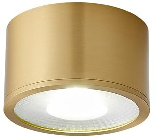 Faretti da incasso, faretti da soffitto, faretti da soffitto a LED, faretti da superficie in ottone, lampada da interni, faretti direzionali da 7 W, luci da soffitto(Dia10cm)