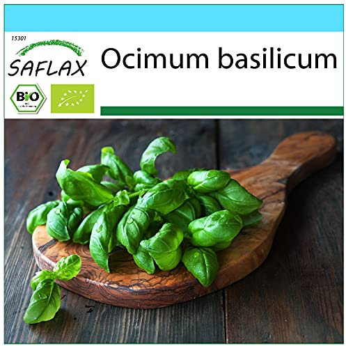 SAFLAX - Gift Set - Organic - Basil Genovese - 800 Seeds - with Gift Box, Card, Label and Potting Substrate - Ocimum basilicum