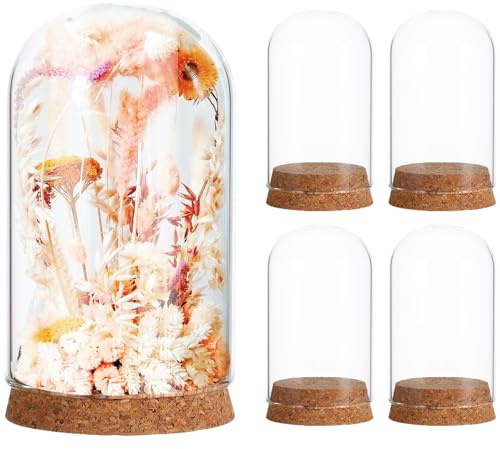 NUOBESTY Lot de 5 Cloches en Verre avec Socle en Bois Rustique, Idéales pour Créer des Compositions Transparentes Et Originales. Socle en Bois Massif pour Vos Créations DIY.