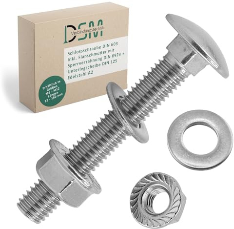 DSM – Tornillos M6 x 100 mm según DIN 603 – Tuerca de brida M6 con dentado de bloqueo DIN 6923 y arandela DIN 125 – Acero inoxidable A2/V2A – Tornillos de cabeza redonda plana – Tuerca hexagonal – 5