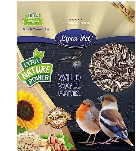Lyra Pet® | 20 kg Sonnenblumenkerne Gestreift | Wildvogelfutter für Sommer & Winter | Ideal für Freilebende Vögel | Vogelfutter für das Ganze Jahr | Ölreiches Streufutter | Kräftige & Gesunde Schnäbel