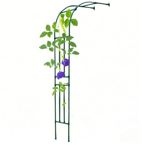 Arche de jardin en métal pour plantes grimpantes, tonnelle en acier revêtu de poudre, résistante aux intempéries, demi-pergola treillage pour mur, vert, dimensions : 240 x 240 cm