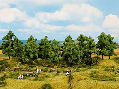 24603 Laubbäume 4-10 cm Hoch (16 Stück)