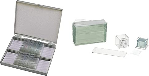 Bresser Dauerpräparate für Mikroskop - Histologie (30x) & Mikroskop Objektträger/Deckgläser (50x/100x) mit geschliffenen Kanten zur Erstellung von biologischen Präparaten