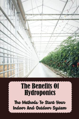 The Benefits Of Hydroponics: The Methods To Start Your Indoor And Outdoor System