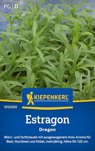 Kiepenkerl Estragonsamen Dragon 1012400 - Anis-Aroma - Höhe 90-120 cm - Inhalt für 200 Pflanzen - Mehrjährig - Kräutersamen, Samen Kräuter, Saatgut
