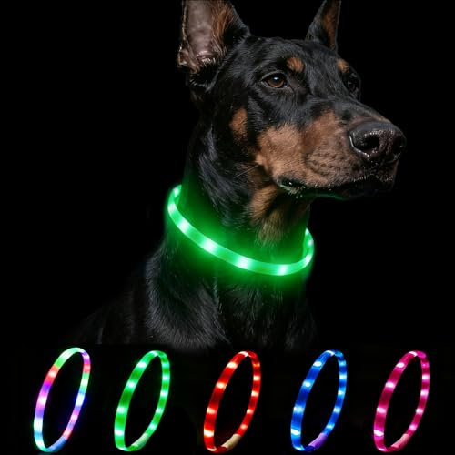 Nepfaivy Leuchthalsband Hund USB Aufladbar, Hundehalsband Leuchtend, Grün | Wasserdichtes LED Halsband Hund mit Verstellbarer Länge, für Mittlere bis Große Hunde, 4 Beleuchtungsmodi für Sicherheit