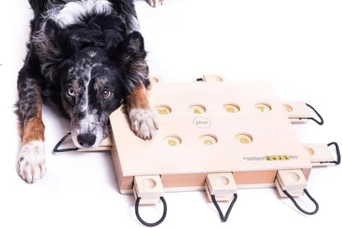 My Intelligent Dogs Interaktives Hundespielzeug Intelligenz, Hundepuzzle | Intelligenzspielzeug für Hunde Mentalen Auslastung - Interaktives Spielzeug Hund, Denkspiele für Hunde