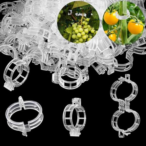 Wopanxye 100 Stück Pflanzenclips, Tomatenclips Verbinden, Kunststoff garten Pflanzenklammern, Ranken Clips, Tomatenclips Verbinden Pfeffer Gurke Reben Ideal für blumen obstbäume orchideen Sicherung | Pflanzenstützclips Rankenclips Blumenzucht Stielklammern zum Fixieren von Tomaten, Gemüse, Gurken, Bohnen (transparent)
