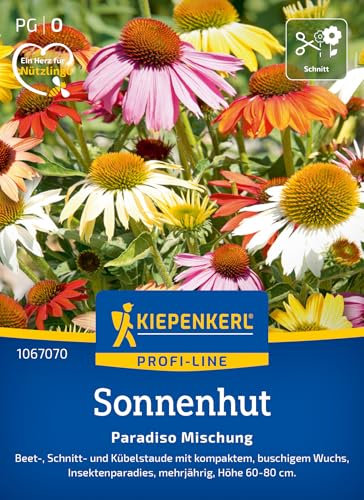 Kiepenkerl Profi-Line Sonnenhutsamen Paradiso Mischung 1067070 – Beet-, Schnitt- und Kübelstaude mit kompaktem Wuchs - Pflanzen, Blumensamen, Saatgut