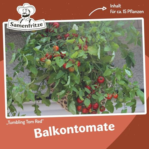 Tumbling Tom rot Tomatensamen