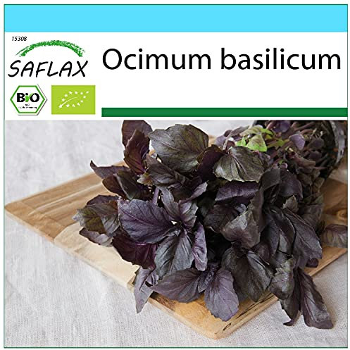 SAFLAX - Gift Set - Organic - Basil Red - 400 Seeds - with Gift Box, Card, Label and Potting Substrate - Ocimum basilicum