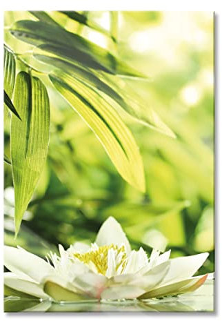 Pixxprint Glasbild, Wandbild aus Echtglas, Weiße Seerose im Wasser Wellness, 60x80 cm, inkl. Aufhängung und Abstandshalter