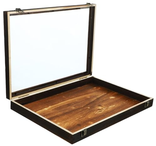 INOOMP Caja de Exhibición de Insectos Vintage de Madera con Tapa