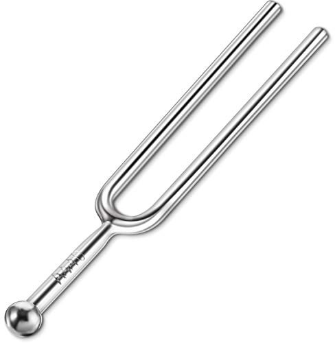 Stimmgabel inkl. A440 Hz Stimmgabel aus Edelstahl, Reinigungstuch und Schwarzer Aufbewahrungstasche für Musical Standard-Instrumente Violine Gitarren Tuner Geräte