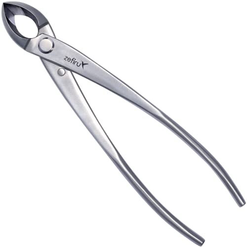 Tronchese Concava dal Taglio Dritto per Bonsai - Acciaio Inox - 210 mm - Attrezzi per Bonsai