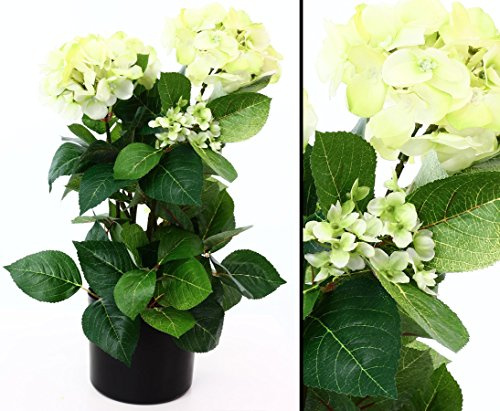 Künstliche Hortensie im Topf, 50cm hoch mit Lemon farbigen Blüten - Kunstpflanze künstliche Blumen Kunstblumen Blumensträuße künstlich, Seidenblumen oder Blumen aus Plastik Kunststoff