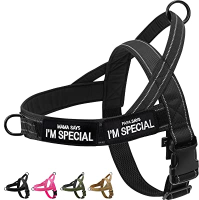 Eeyfarog No Pull Hundegeschirr für kleine mittelgroße Hunde, reflektierend ausbruchsicher verstellbar ohne Zug, Hundegeschirr (Schwarz, XL)