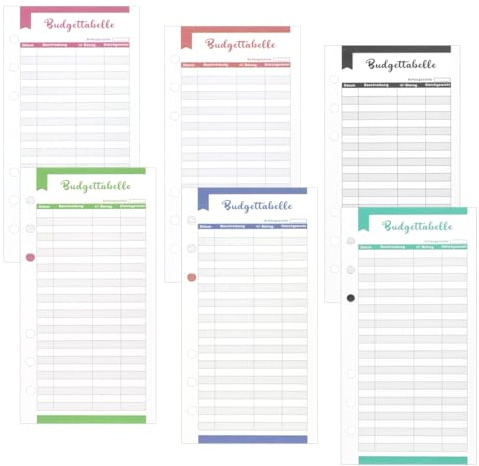 TANCUDER 96 Blätter Budget Blätter, Nachfüllpapier A6, Budgetplanner Papier, 6 Farben Budget Sheets, Nachfüllbare Notizpapier, Budgetplanerblätter mit Aufkleber für Loseblatt Notizbuch, Notizblöcke