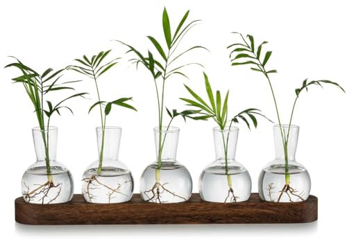moonsun Pflanzenterrarium-Vermehrungsstation, Glas-Pflanzgefäß, Blumenzwiebelvase mit Holztablett, Moderne Knospenvasen für Wohnzimmer und BüRo