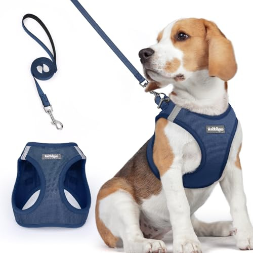 rabbitgoo Pettorina Cane Taglia Piccola con Guinzaglio Riflettente, Imbracatura per Cani Regolabile, Morbida Traspirante, Fcile da Indossare, Pettorina per Cani Piccoli Cuccioli Gatti, Blu Scuro L