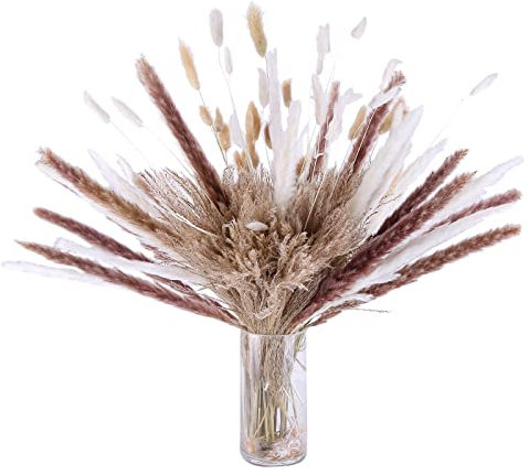 120 Stück Pampasgras Getrocknet Deko, 43cm Kleines Reed Blumenstrauß Flauschige Trockenblumenstrauß Natürliche Hasenschwanzgras Pampasgras Deko für Blumenarrangement Wohnzimmer Küchen Hochzeitsdeko