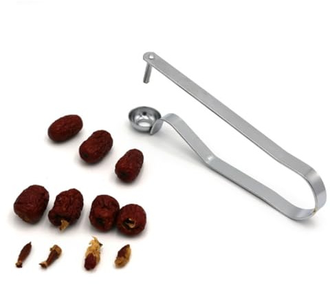 HEALLILY Leva Noccioli Ciliegie in Acciaio Inox, Argento