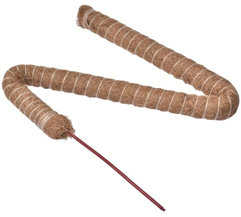 1 di muschio di cocco di cocco – Paletto di supporto per piante, pali di cocco di cocco | Train Monstera Philodendron Pothos Crescono le piante rampicanti, Supporto per piante in vaso Train Piant