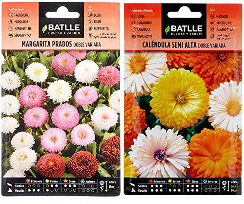 Margarita PRADOS doble variada & Caléndula semi alta doble variada