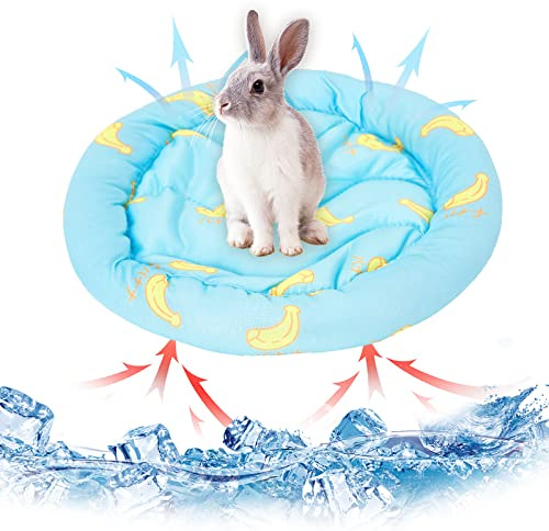 Kleintiere Kühlmatte für Kaninchen, Hamster, Welpe, Meerschweinchen (Blue)