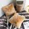 YDFYX 2Pcs Faux Pelz Wurfkissenbezug, Deluxe Home Dekorative Super Weich Plüsch Mongolischen Faux Pelz Wurf Kissenbezug Kissenbezug (2Pcs Beige, 40X40 cm)