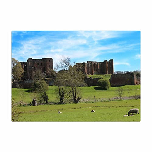 Vero Home 17361 Glas-Schneidebrett | Motiv Reisen Kenilworth castle | rutschfest, kratzfest und lebensmittelecht | Maße: 39 x 29 cm