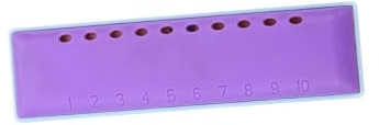 Mundharmonika Tragbares Blues-Mundharmonika-Set 10 Löcher, 20 Töne ABS-Messinginstrument Geeignet Für Anfänger Und Profis