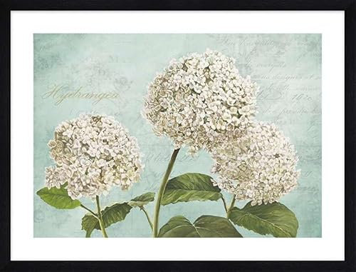 ART PRINT CAFE' – Quadro shabby – stampa con cornice nera: Remy Dellal, Ortensie I (Aqua)