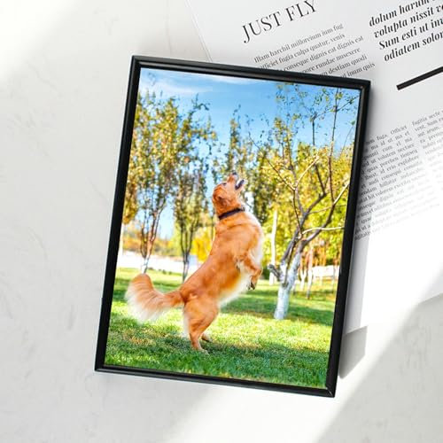 Whoiy Bilderrahmen 10x15 Schwarz Glas Transparenz Kleine Fotorahmen Metall Hochzeit Weihnachten Geburtstag Geschenk, Horizontal & Vertikal für Tischdisplay